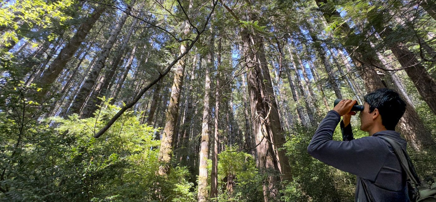 Why Bird Watchers Flock to Oregon's Adventure Coast