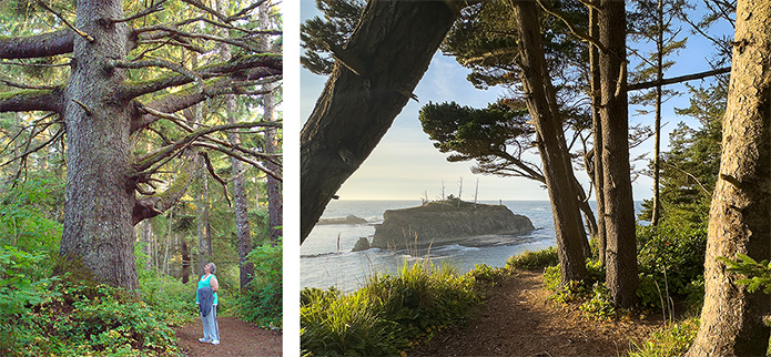 woman near Great Spruce and island seen through trees