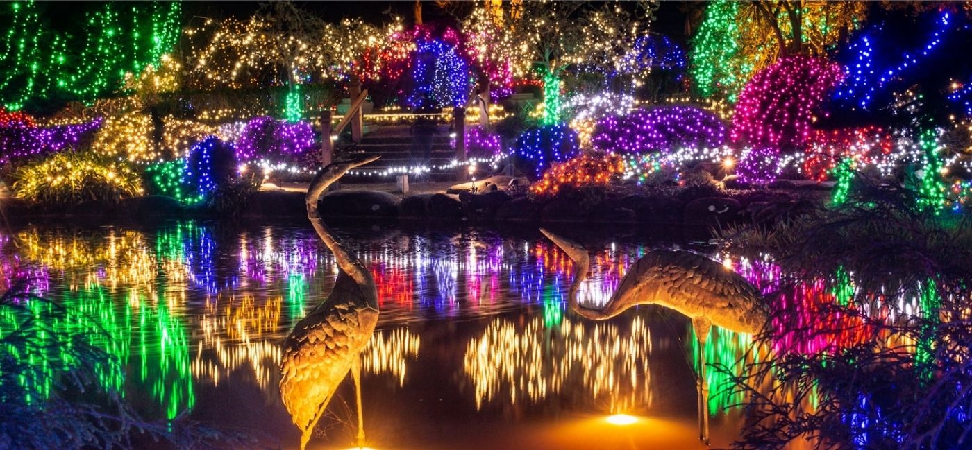 Everything You Need to Know About the 2026 Holiday Lights at Shore Acres State Park