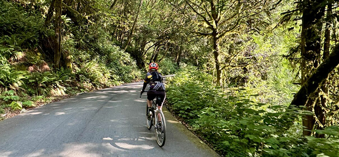 Cyclist on gravel path in forest