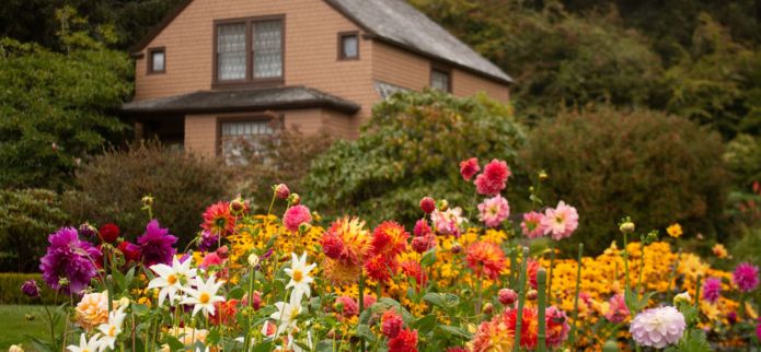 Spring & Summer Blooms - A Seasonal Spectacle at Shore Acres State Park! 